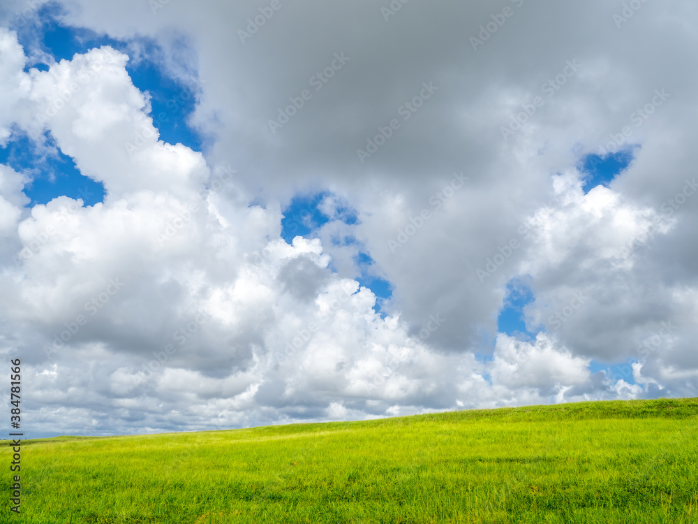 Blue sky with big white clouds filling most of sky overgreen field in southwest Florida Blue sky with big white clouds filling most of sky overgreen field in southwest Florida