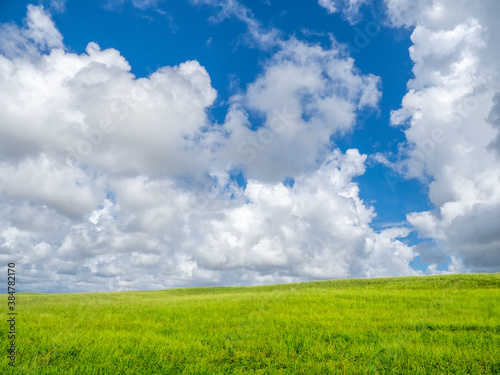 Blue sky with big white clouds filling most of sky overgreen field in southwest Florida photo