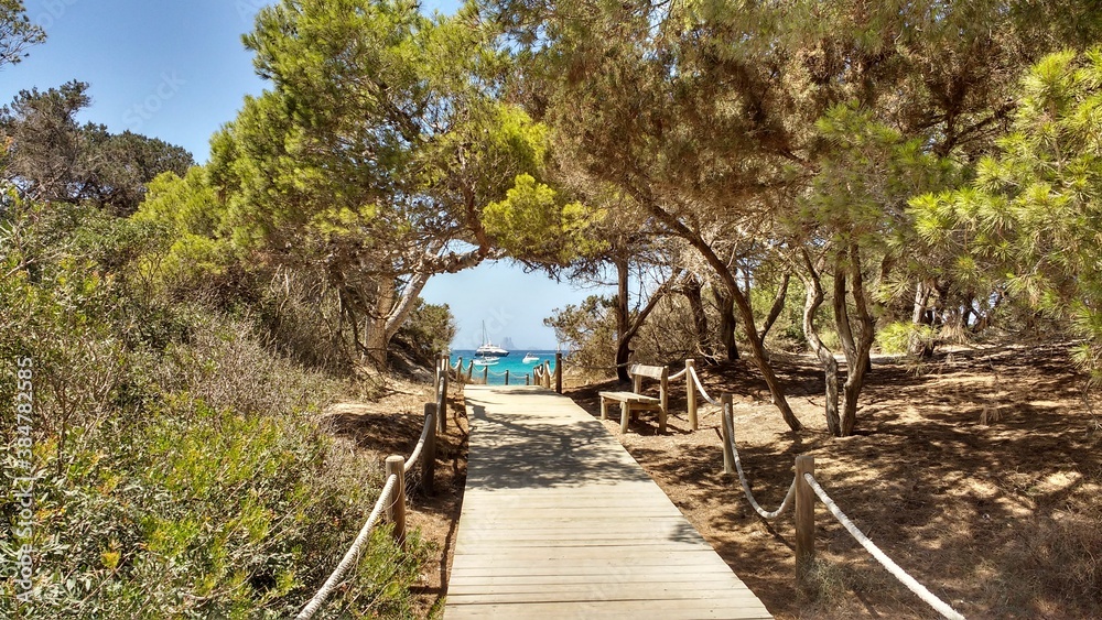path to the beach