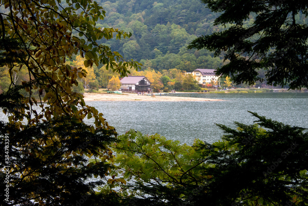 日本の至宝　奥日光・日光湯元の自然豊かな湯ノ湖一周ハイキングコース