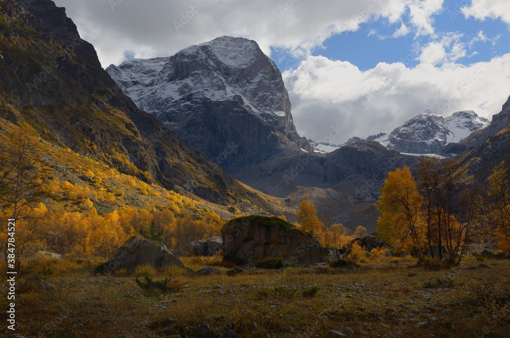 Autumn Autumn