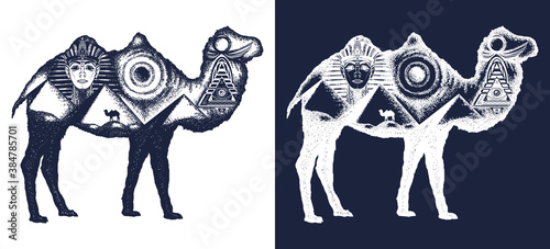 Camel tattoo art. Ancient Egypt, Pharaoh, Ankh, Pyramid. Symbol of archeology, ancient civilizations. Double exposure animals. Black and white vector graphics