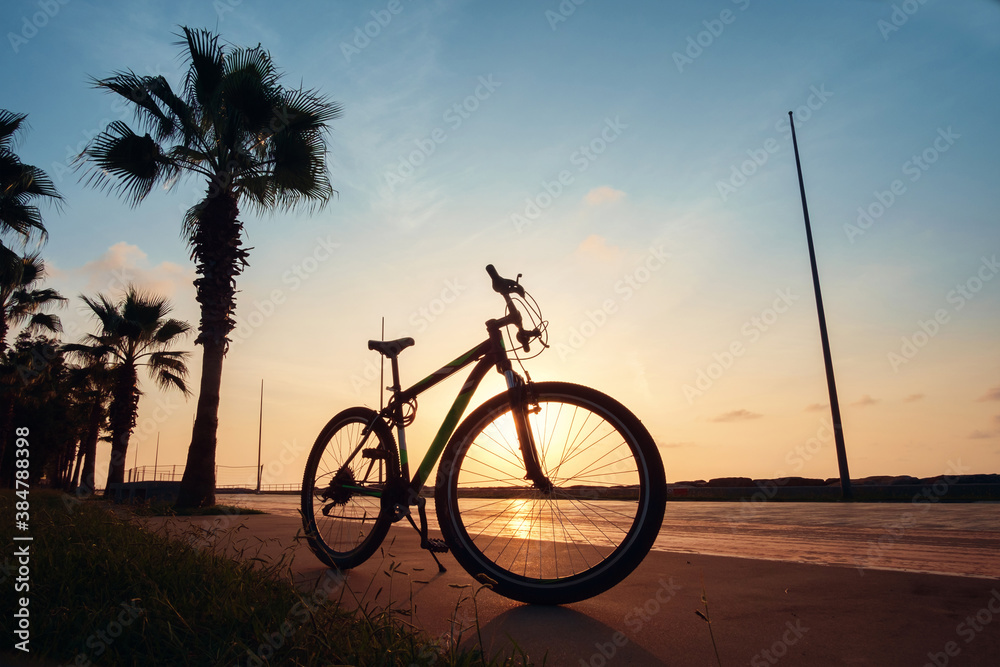 Fototapeta premium A silhouette of a bike at sunset. The sun shines through the bicycle wheel at seaside park