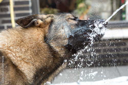 Water op mijn neus! photo