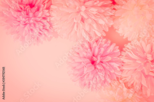 Beautiful abstract color white and pink flowers on white background and white graphic flower frame and pink leaves texture  pink background  colorful graphics banner happy valentine day