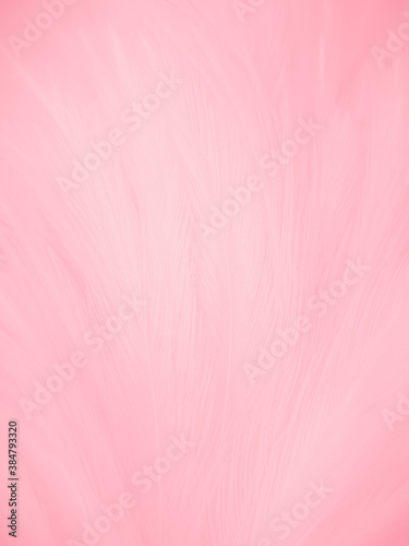 Beautiful abstract gray and pink feathers on white background, white feather frame texture on pink pattern and pink background, love theme and valentines day