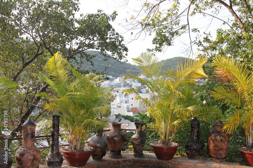 flowers in a garden vietnam