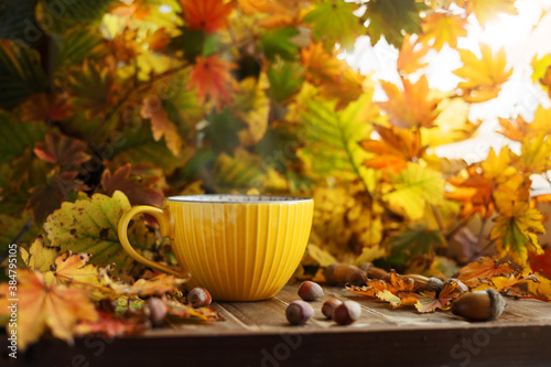 Yellow cup of tea in autumn foliage with acorns and nuts. Autumn vibe.