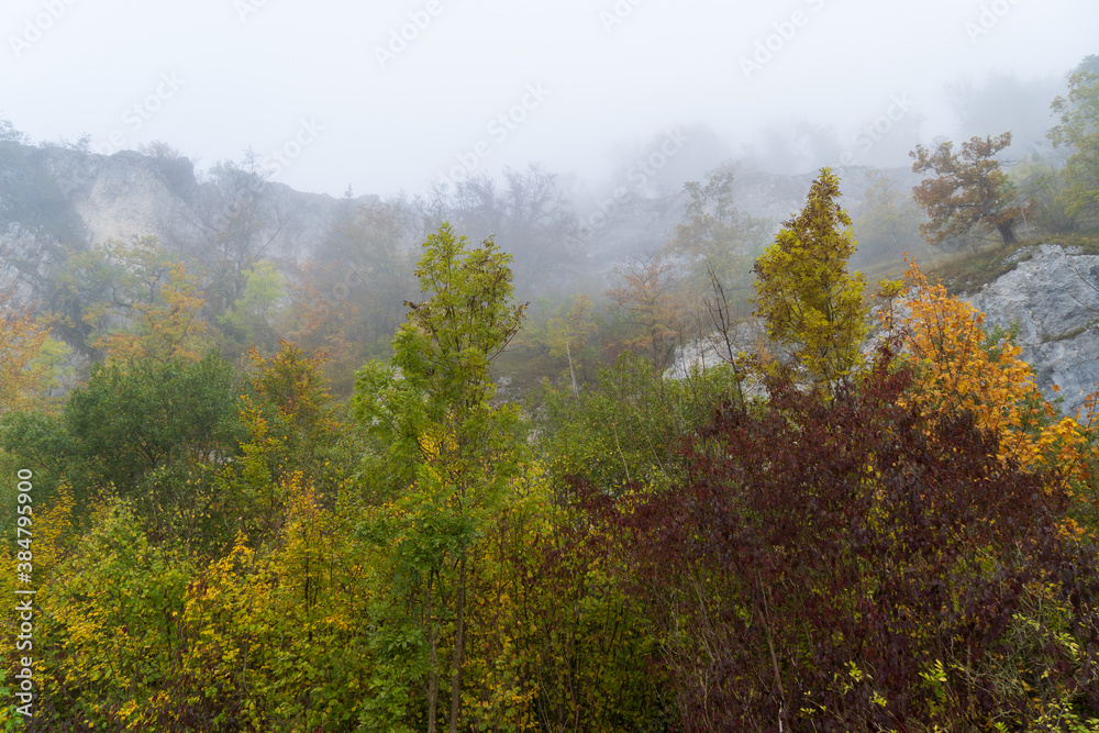 Herbst im Oberen Donautal