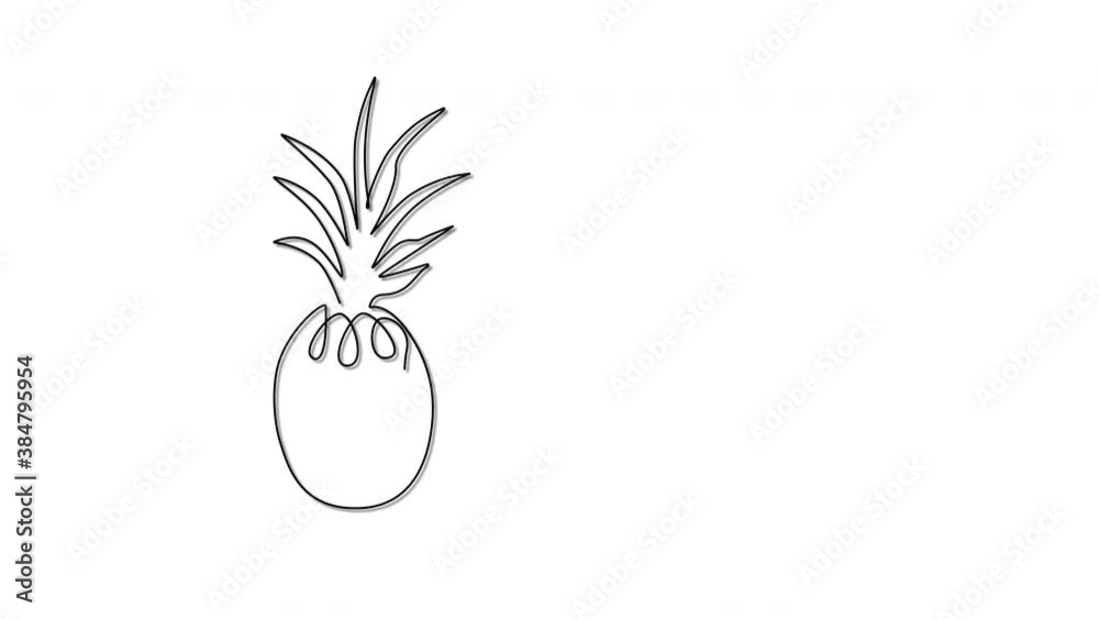 Self drawing animation of pineapple fruit outline. White background. Minimalism, line art. Copy space. Self drawing animation of pineapple fruit outline. White background. Minimalism, line art. Copy space.