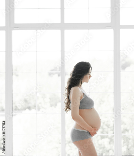 beautiful young pregnant woman at home Free Download beautiful young pregnant woman at home - GFXLoad
