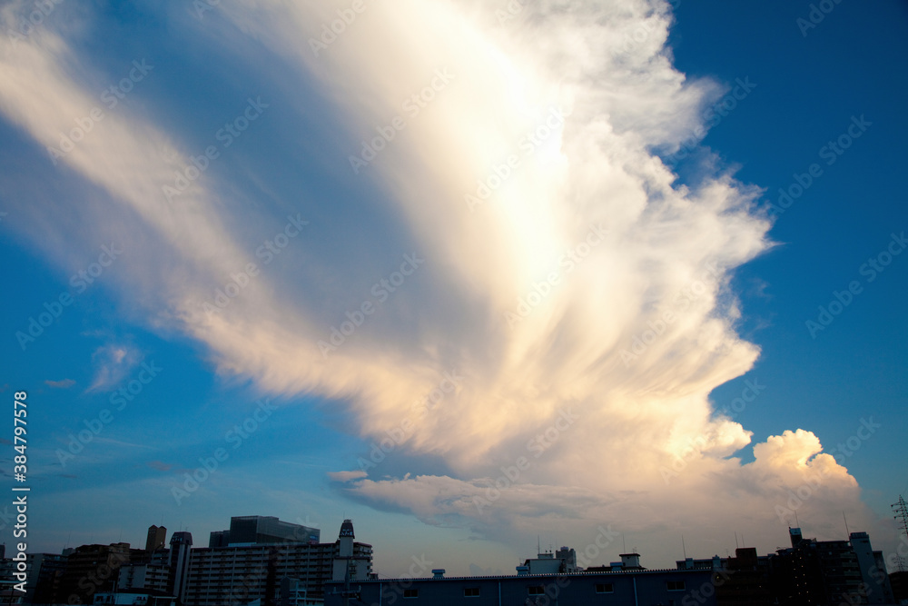 風に流れる入道雲