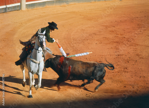 Bullfighting, a bull attacks