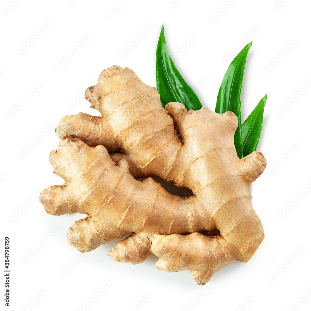 Ginger root with leaves isolated on white background Ginger root with leaves isolated on white background