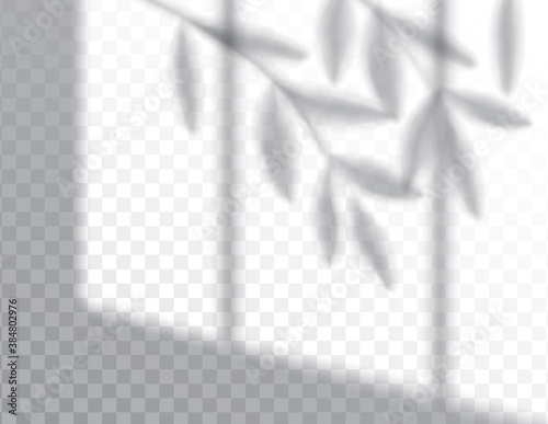 Shadow, overlay effects mock up, window frame and leaf of plants, natural light, vector illustration