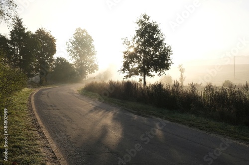 The winding road between trees in the morning mist. Silhouette of car on the road.