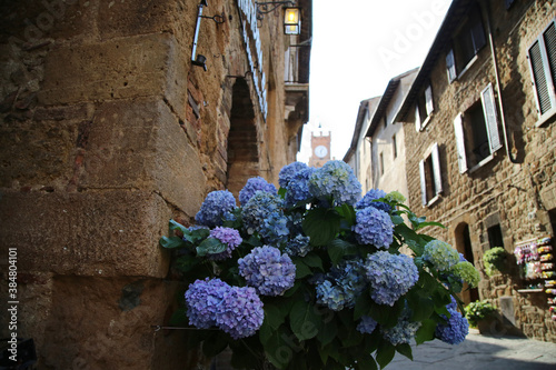 Alley in the city of Pienza in Tuscany