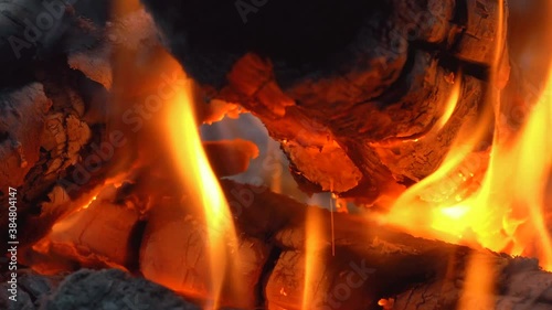 Bonfire close-up 4k photo