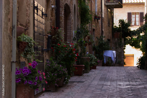 Fototapeta Naklejka Na Ścianę i Meble -  Alley in the city of Pienza in Tuscany