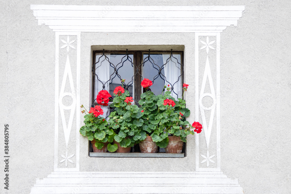 Naklejka premium Blumenfenster