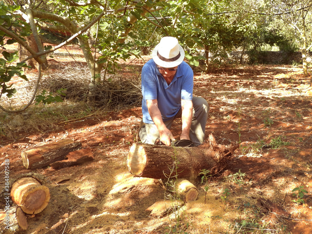 old man chopping wood
