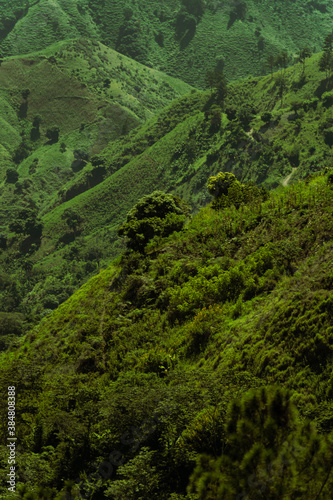 Landscare Cordillera Central, Dominican Republic (ID: 384808388)