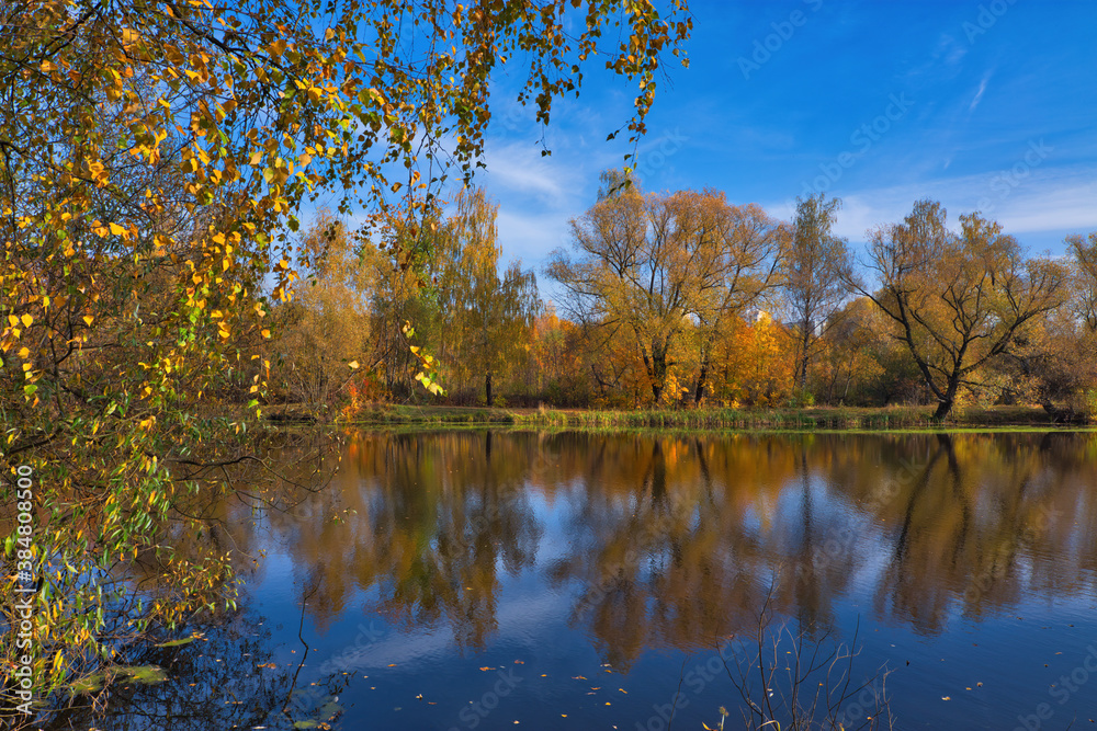 Autumn forest lake reflection landscape