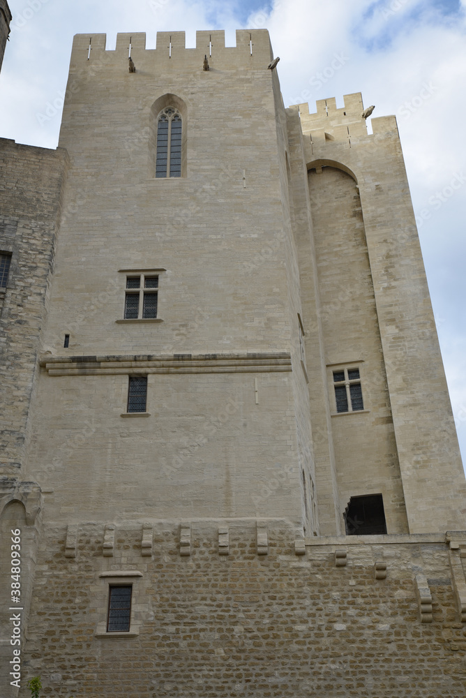 Tour carrée du palais des Papes d'Avignon, France