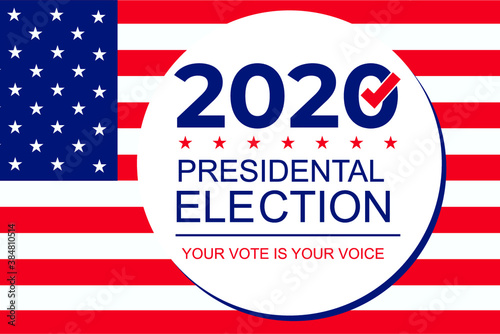 United States elections. US midterm elections 2020 