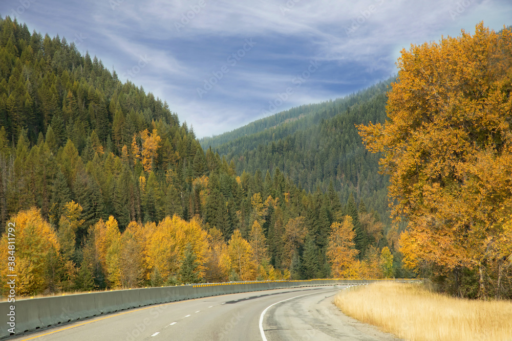 Original autumn landscape photograph of a highway running through the mountains lined with yellow aspen and cottonwood trees and green conifers in the fall Original autumn landscape photograph of a highway running through the mountains lined with yellow aspen and cottonwood trees and green conifers in the fall