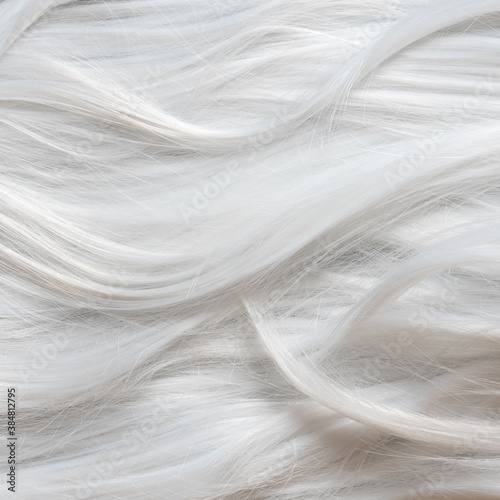 Photography Platinum blond hair close up. White hair background or texture.
