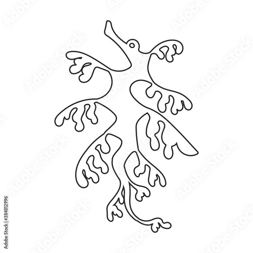 Sea horse vector icon.Outline vector icon isolated illustration on white background sea horse.