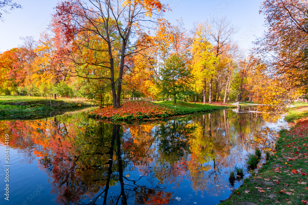 Golden fall in Alexander park, Pushkin (Tsarskoe Selo), Saint Petersburg, Russia