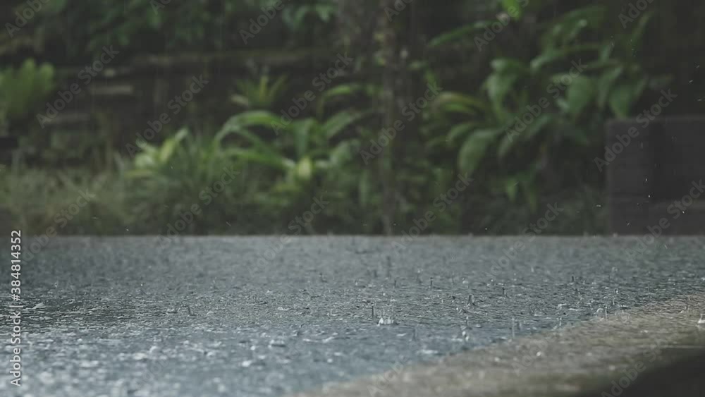 Wet jungle rain on infinity pool in the balinese jungle, slow motion rain drops Wet jungle rain on infinity pool in the balinese jungle, slow motion rain drops