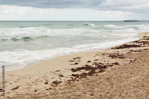 Son Bou beach in Menorca, Spain © SAUL
