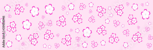cherry blossom background  vector design