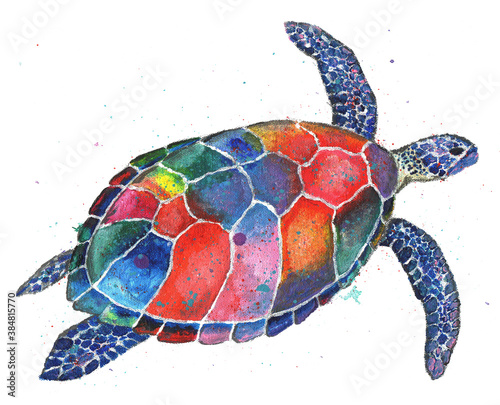 Sea funny turtle colorful decorated with spots, swims to the right, acrylic painting hand drawn isolated on white background. T shirt print design