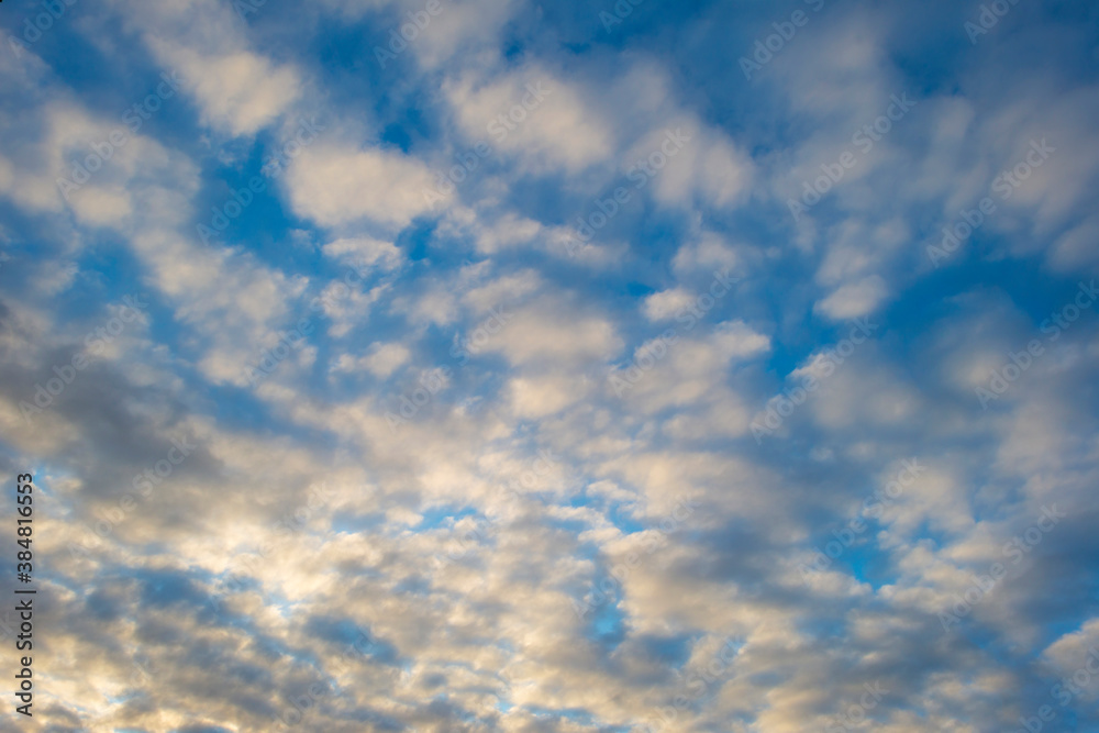 
Panorama of white altocumulus clouds in a blue  sky in autumn, Almere, Flevoland, The Netherlands, October 12, 2020