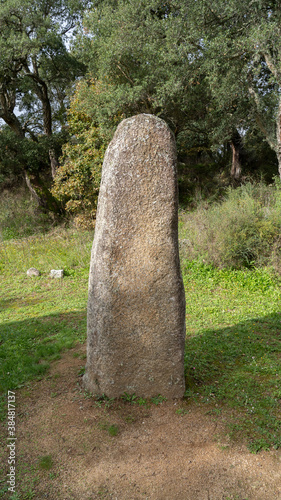 Big megalithic menhirs of sorgono , sardinia central - prenuragic
 photo