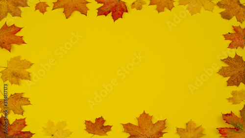 Autumnal autumn background template design - Frame made of colorful fallen leaves isolated on yellow paper texture, with space for text