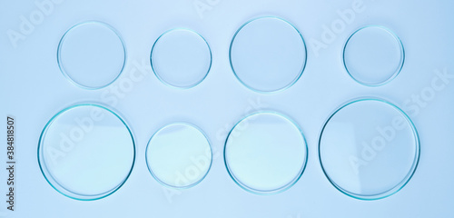 Different size Petri dishes for biochemical analysis on the blue background