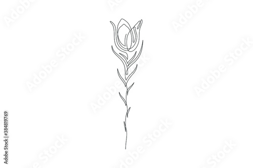 line art flower