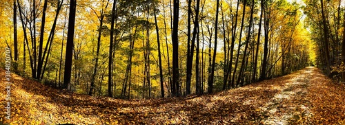 Tableau sur toile Panoramic view of autumn color season in upstate New York