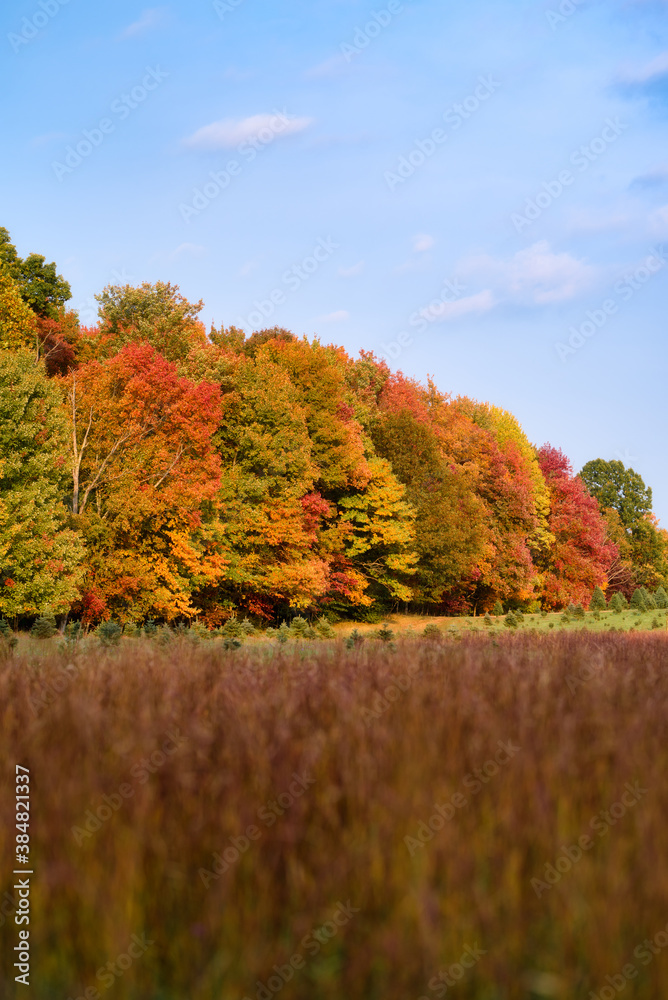 Fall color in the Cuyahoga Valley National Park in Ohio