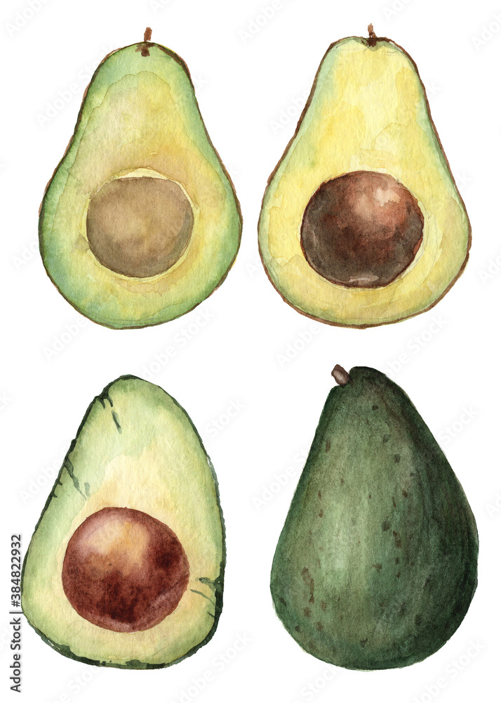 Slices of avocado hand painted in watercolor Slices of avocado hand painted in watercolor