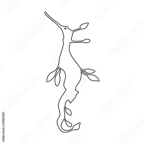 Sea horse vector icon.Outline vector icon isolated illustration on white background sea horse.