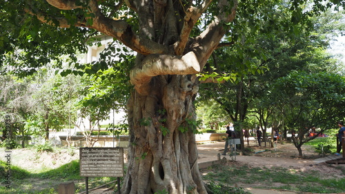 Cambodia Phnom Penh－August 2, 2016: Dark history in Killing Field and Toul Sleng Genocide Museum (S21) in Phnom Penh. The bloody days of executed around 20,000 victims. photo