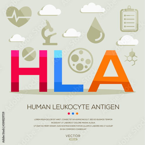 HLA mean (human leukocyte antigen) medical acronyms ,letters and icons ,Vector illustration.
