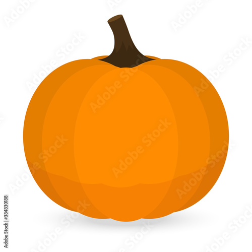 Thanksgiving pumpkin isolated on white background icon