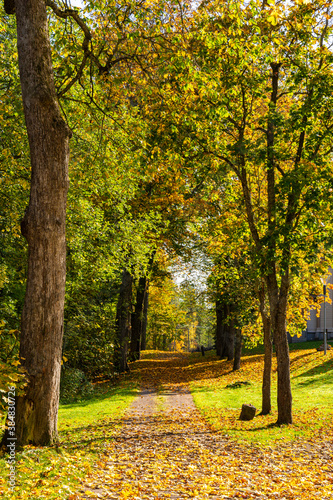 View of the autumn alley near Ruotsinpyhtaa church, Loviisa, Finland